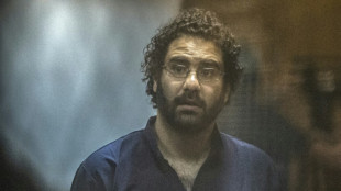 La ONU pide la "liberaci&oacute;n inmediata" del militante Alaa Abdel Fattah en Egipto

