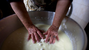 K&auml;sehersteller scheitern vor EU-Gericht mit Klage wegen Vorgaben f&uuml;r Halloumi