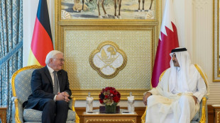 Steinmeier dankt Katar f&uuml;r Bem&uuml;hungen um Freilassung von Geiseln der Hamas