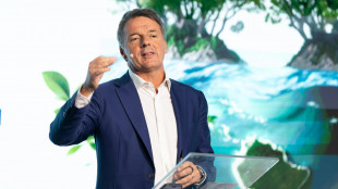 Renzi su Gaza, serve unione, ok a mozione corta maggioranza