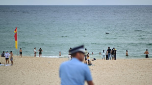 Bondi victims' families demand national probe into antisemitism