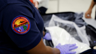 Narcotrafic: pr&egrave;s de 45 tonnes de coca&iuml;ne d&eacute;j&agrave; saisies en 2024, le double de 2023 