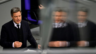 "Sargnagel f&uuml;r deutsche Wirtschaft": Habeck kritisiert Merz f&uuml;r Beschluss mit AfD