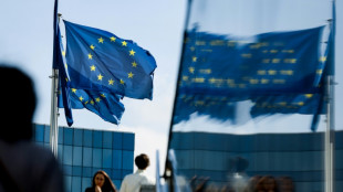 Zone euro: l'&eacute;conomie se contracte au 3e trimestre, l'inflation chute en octobre